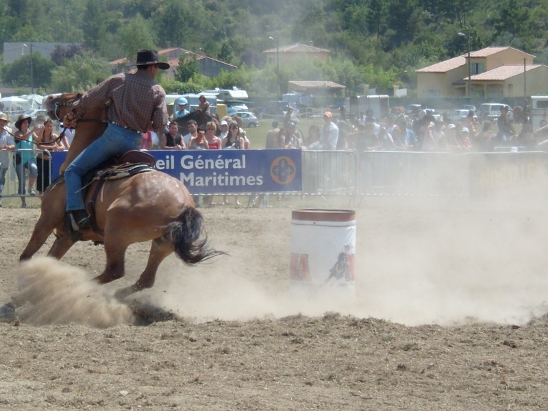 В Левенсе пройдет фестиваль конного спорта 